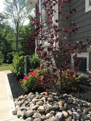 Landscaping Portfolio