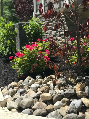 Landscape Services In NJ