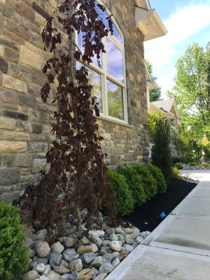 Landscape Services In NJ