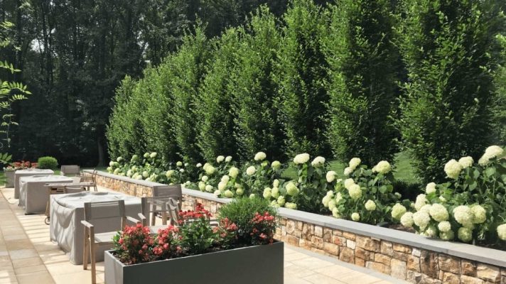 Landscape Services In NJ