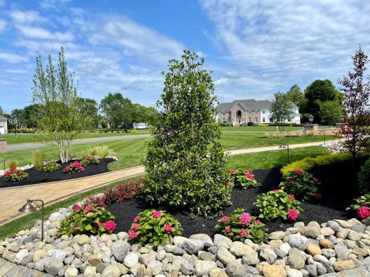 Landscape Services In NJ