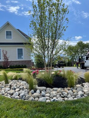 Landscape Services In NJ