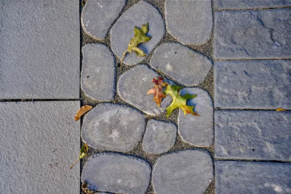 Hardscaping Services