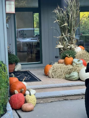 Fall Decor Packages