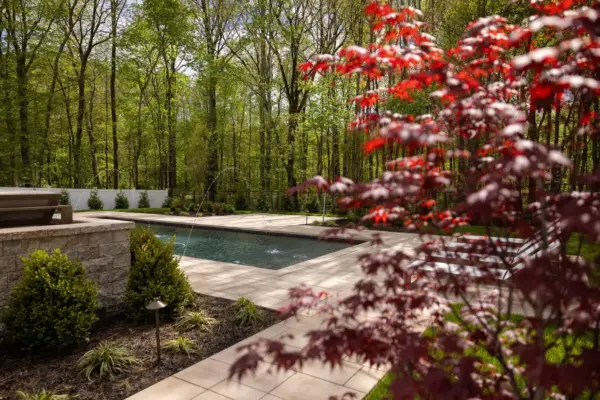 A full backyard transformation featuring a raised patio with stone retaining wall and pillars, paver pool patio with coping, paver steps with integrated LED lighting, a paver walkway with path lights, Japanese maple specimen plantings, arborvitae privacy screening, and sod installation.