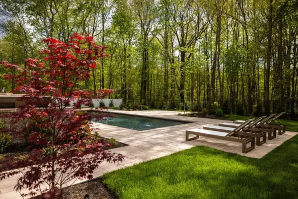 A full backyard transformation featuring a raised patio with stone retaining wall and pillars, paver pool patio with coping, paver steps with integrated LED lighting, a paver walkway with path lights, Japanese maple specimen plantings, arborvitae privacy screening, and sod installation.