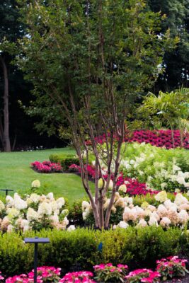 Premier Landscape Design & Landscaping Services in NJ