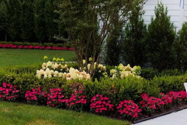 A full backyard transformation in Colts Neck, NJ featuring a custom inground pool, elegant hardscaping, colorful landscaping, and a private putting green — designed and built by Scenic View Landscaping.
