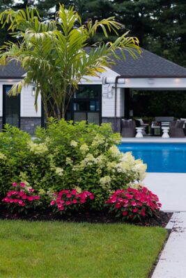 Poolscapes