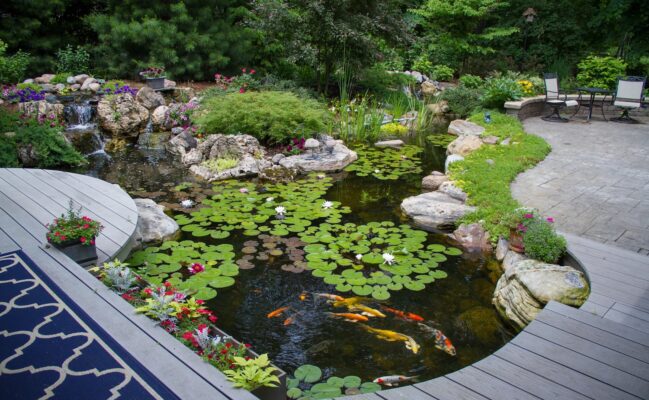 Water Gardens & Landscape Wellness Design