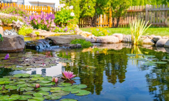 Water Gardens & Landscape Wellness Design