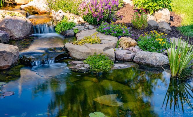 Water Gardens & Landscape Wellness Design