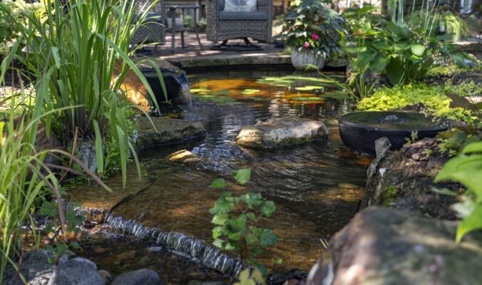 Water Gardens & Landscape Wellness Design