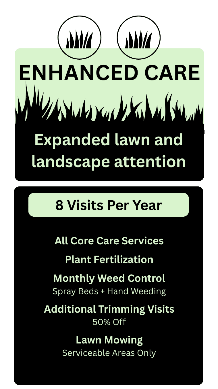 Scenic View Enhanced Care Lawn Care & Maintenance Plan