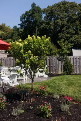 Landscaping Portfolio