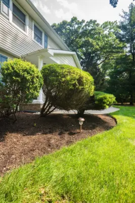 A paver pool patio wrapping a freeform pool and spa, a separate circular fire pit patio with built-in stone fire pit, a curved paver walkway, and refreshed planting beds on a wooded lot.